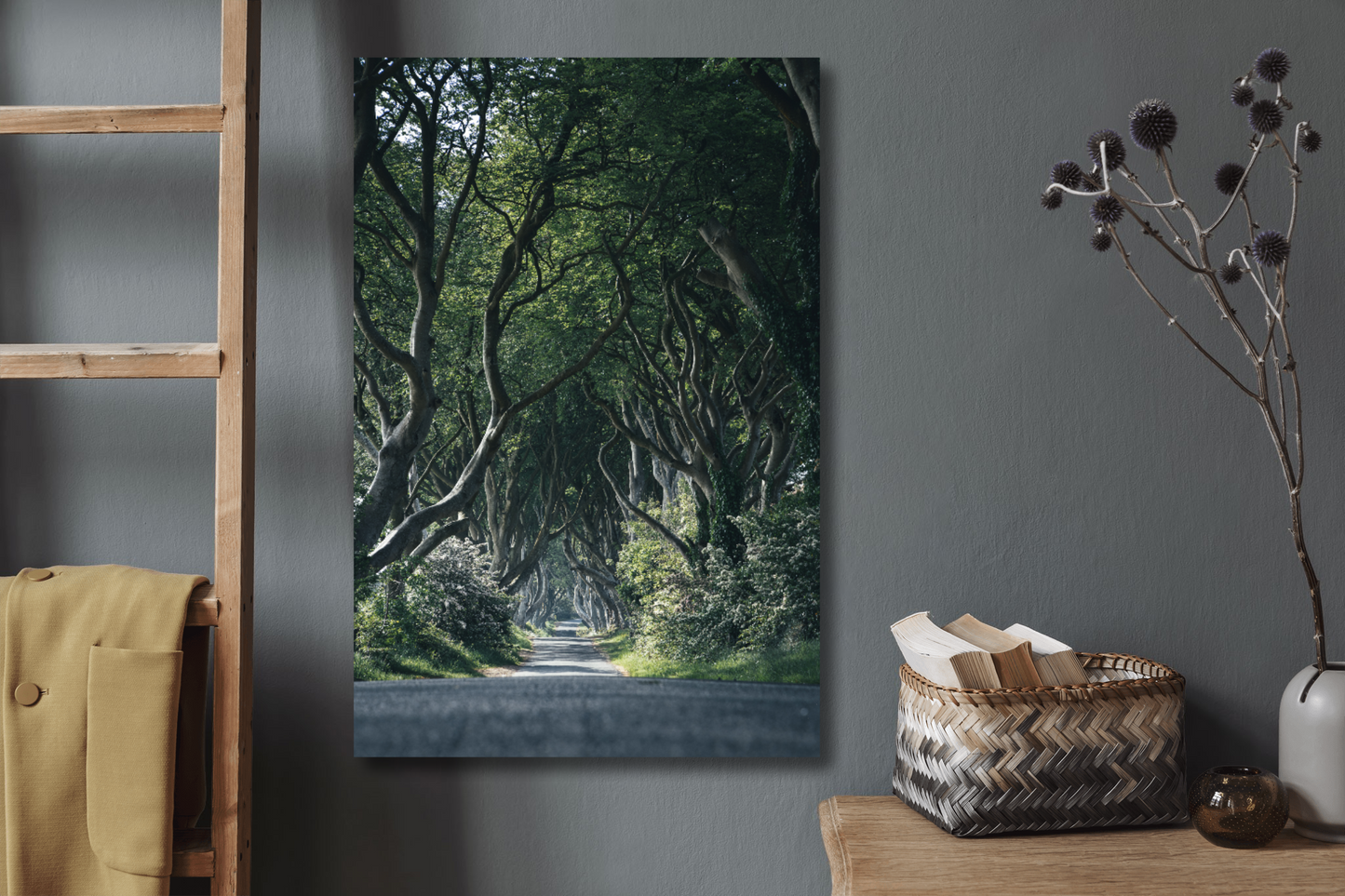 Dark Hedges Fine Art Print